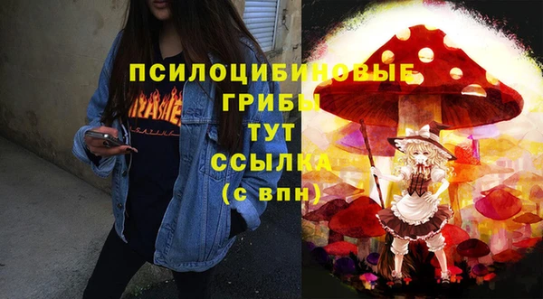 ALPHA PVP Алзамай