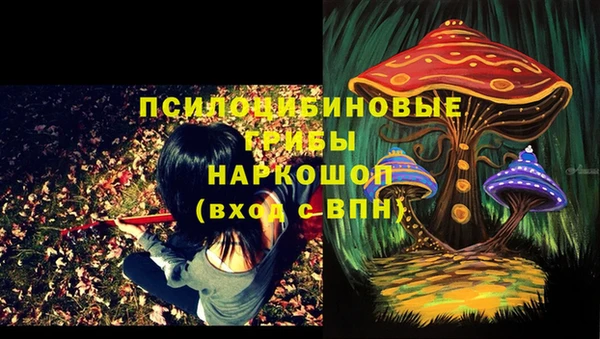 тгк Алексеевка