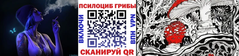 где купить наркоту Зуевка Галлюциногенные грибы Cubensis
